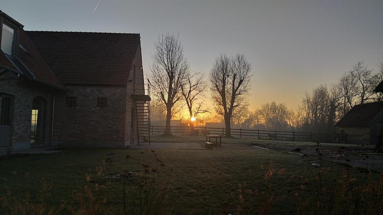 Muntershof *