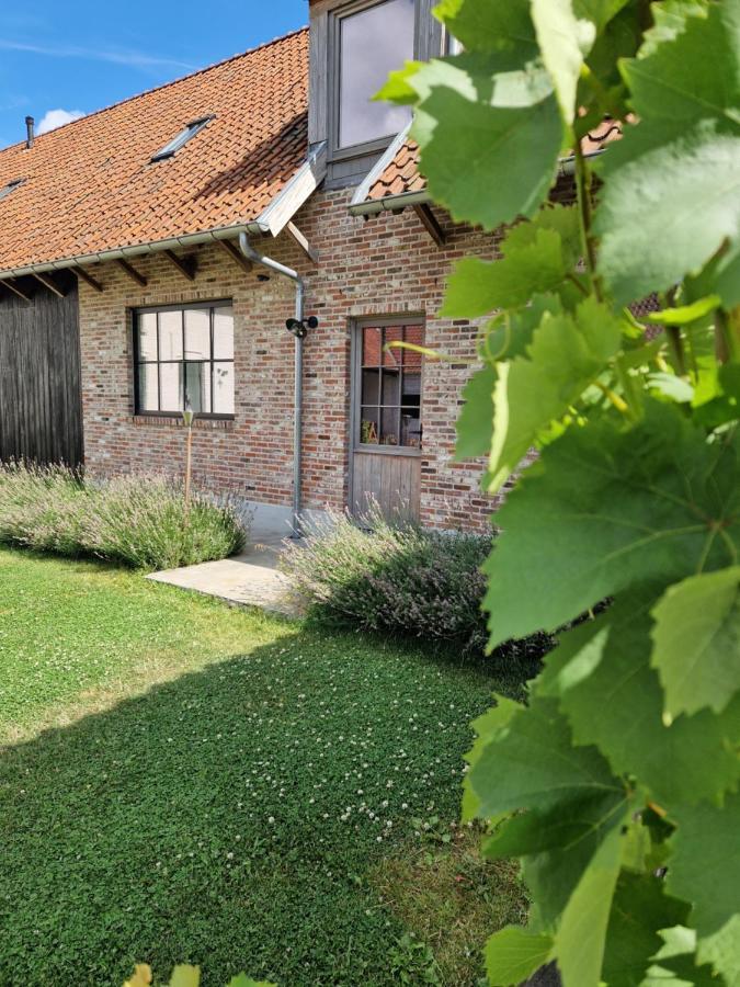 Vakantiehuis Muntershof Velzeke-Ruddershove